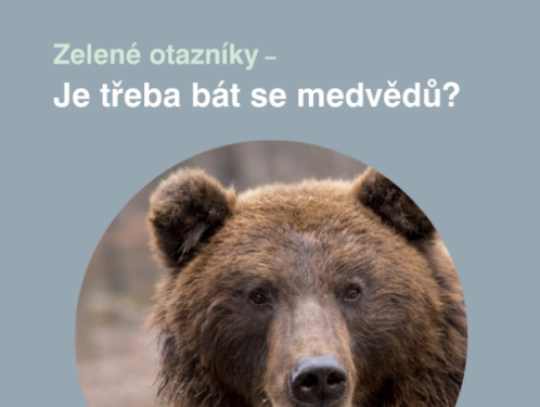 Zelené otazníky – Je třeba bát se medvědů?